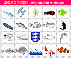 鱼类免抠素材设计
