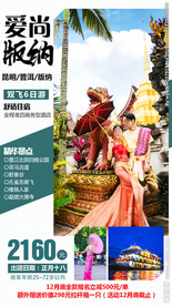 云南旅游 大象 版纳