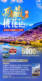 林芝 桃花沟 布达拉宫 西藏