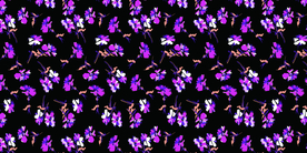 紫色花