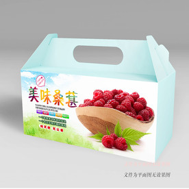 桑葚礼盒包装
