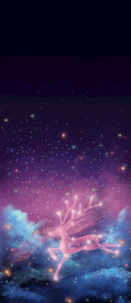 星空鹿