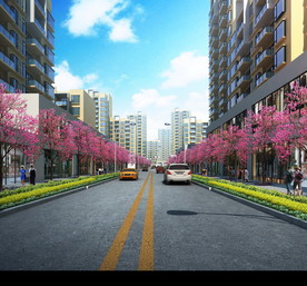 洋紫荆道路景观设计效果图