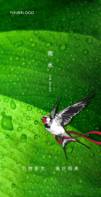 雨水节气微信