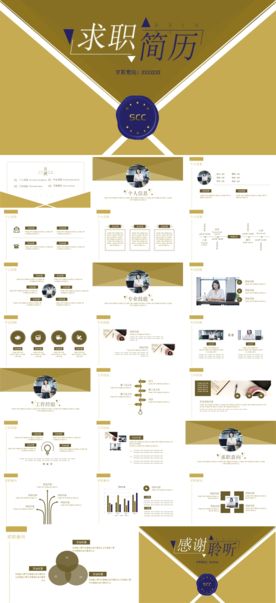 求职学生个人简历PPT素材