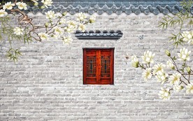 新中式复古砖墙意境玉兰花鸟背