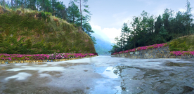 斜坡爬藤植物景观设计