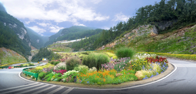 乡村道路交叉口花境景观设计