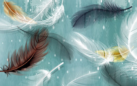 高清羽毛装饰画 TIF分层