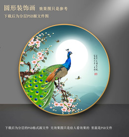 孔雀