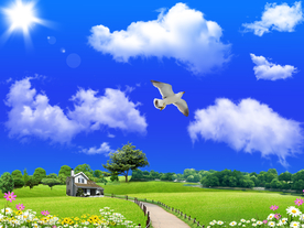 蓝天飞翔