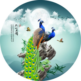 孔雀