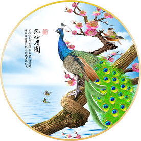 孔雀