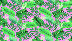叶子