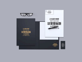 高档VI样机