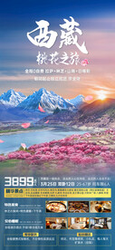 西藏桃花之旅游