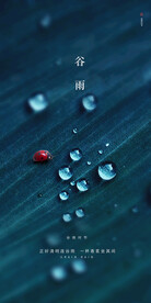 谷雨