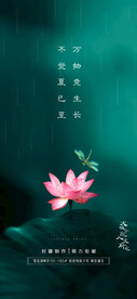 24节气夏至