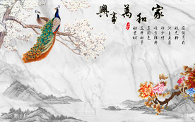 家和电视背景墙