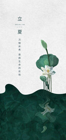 24节气立夏
