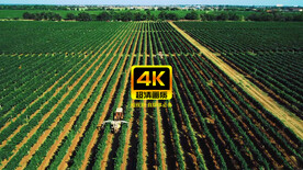 短视频素材大型机械在农田作业