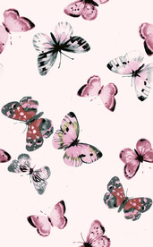 蝴蝶   印花  分层