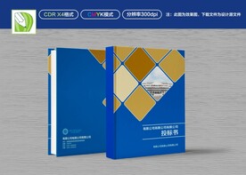 蓝色公司封面