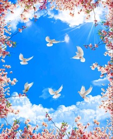 蓝天白云鸽子鲜花