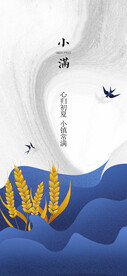小满节气海报