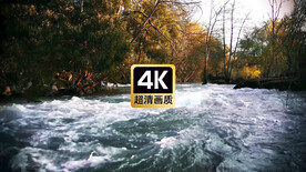 唯美风景森林间流向镜头的河水