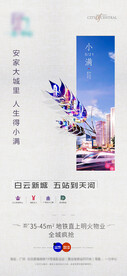 高端 地产小满微信稿海报宣传单