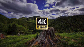 短视频素材唯美草原枯树彩云