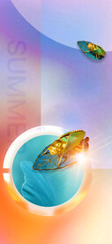 金蝉夏至
