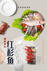红杉鱼
