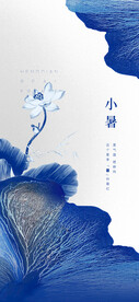 24节气小暑