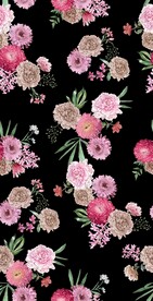 手绘菊花