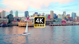 短视频素材航拍海港城市建筑群