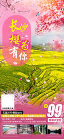 长沙油菜花