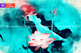荷花
