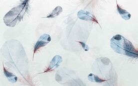 彩色羽毛
