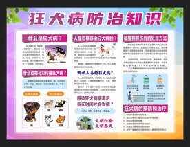 狂犬病防治知识