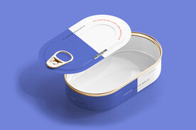 多视角铝制鱼罐头盒模型