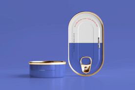 多视角铝制鱼罐头盒模型