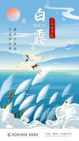 白露节气海报