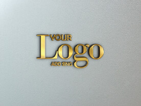 logo样机