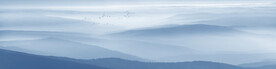 山水水墨画