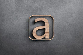 logo样机