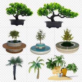 园林植物素材