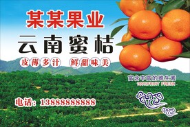 蜜桔海报