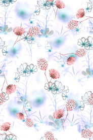 手绘花 